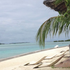 Edi Margaryan, 16.09.1976, Санкт-Петербург