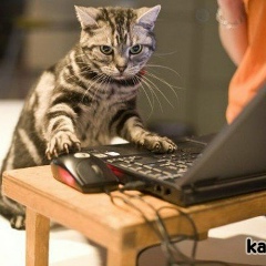 Хайдар Бакиров, 23.01.1982, Алматы