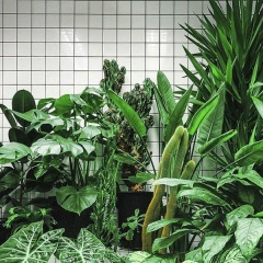 Настя Беликова, 07.12, Санкт-Петербург