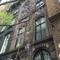 Anna Chernitskaya, 25.08