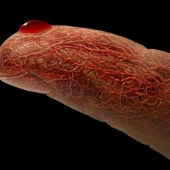 Алмат Алматов, 20.04, Кызылорда