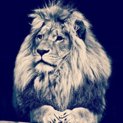 Канат Жаркын, 01.10.2007