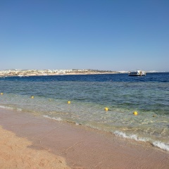 Татьяна Лучковская, 27.07, Санкт-Петербург