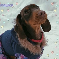 Anastasia Kinzerskaya, 19.08.1987, Благовещенск