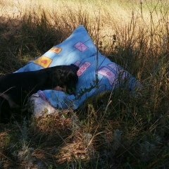 Слава Круглов, 17.01, Одесса