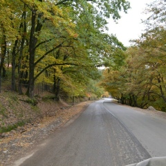 Бахруз Теймуров, 10.09.1992, Пенза
