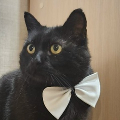 Сергей Шумаков, 16.06.1981, Санкт-Петербург