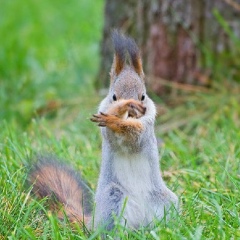 Виктор Кантемиров, 08.07.1989, Астрахань