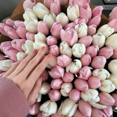 Aziza Daniyarovna, 17.10.1993, Шымкент