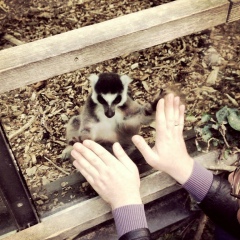 Антон Смирнов, 11.09.1986, Санкт-Петербург