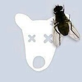 Mariam Hayrapetyan, 06.05.1996, Горис