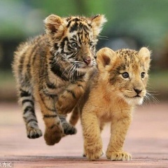 Герман Николаевич, 22.01, Санкт-Петербург