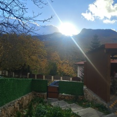 Игорь Сологуб, 30.01.1987, Воронеж