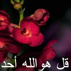 Айдос Таженов, Алматы