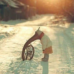 Анна Новосельцева, Находка