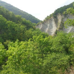 Ангелина Новороссийск, 01.04.1987, Новороссийск
