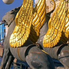 Михаил Жижкевич, 09.09.1984, Санкт-Петербург