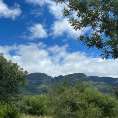 Анастасия Бойко, 24.03, Новосибирск