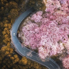 Zarina Begieva, 10.04.1991, Нальчик