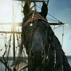 Михаил Бородин, 30.12, Москва