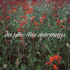 Иосиф Гольдман, 07.11