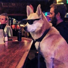 Нурбек Мырзаев, 13.01, Москва