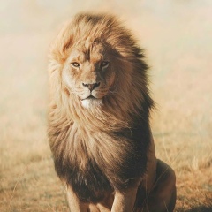 Нурсултан Аккойшы, 20.12, Актау