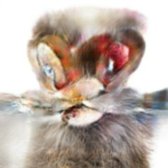 Максим Керножицкий, 31.07.1984, Санкт-Петербург