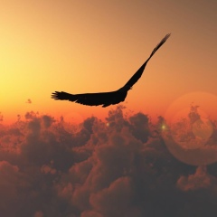 Ержан Ерзатулы, 26.01, Семей