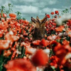 Евгения Назарова, 31.12