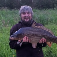 George B, Киров