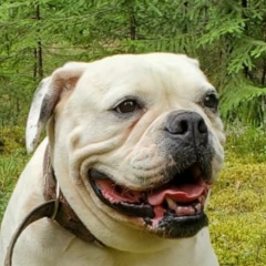 Екатерина Борисовна, 26.08, Санкт-Петербург