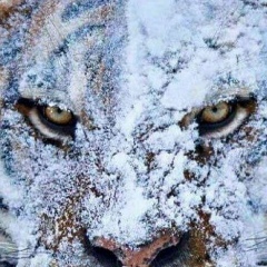 Исраил Халжанов, 03.07.1991, Астана