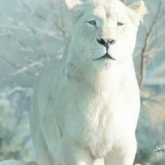 Виталий Коробков, 22.06.1989, Санкт-Петербург