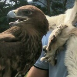 Вячеслав Олегович, 03.03, Кокшетау