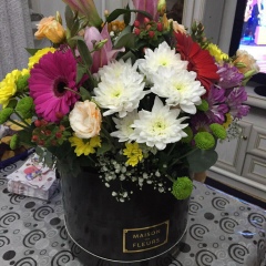 Nurgul Postanova, 08.12