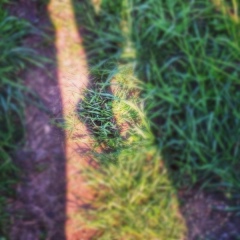 Mansur Kasimgali, Алматы