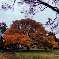 Наира Челоянц, 30.03.1996, Москва