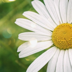 Марина Алексеева, 25.11, Куйбышев