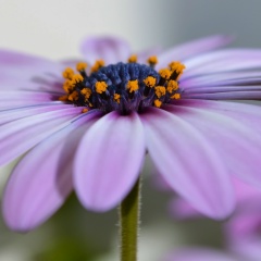 Thargyi Soe, 20.11.1990