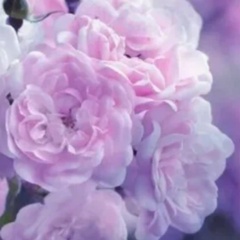 Ирина Адодина, 12.05, Санкт-Петербург