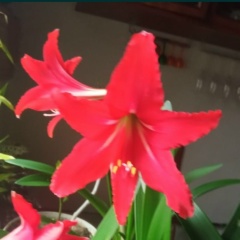 Ксения Чапаева, 26.01, Алматы