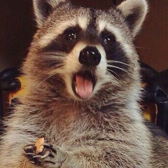 Сергей Павлов, 14.02.1985, Москва