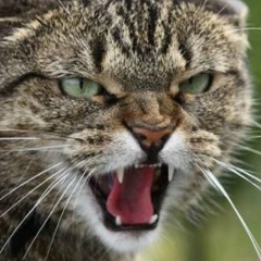 Сергій Щербань, 07.04.1986