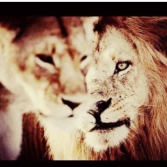 Madi Sharipova, 09.02.1994, Грозный