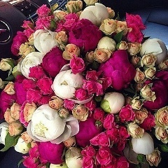 Танзила Мальсагова, 02.04.1998