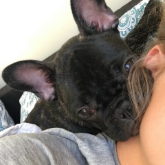 Дарья Легостаева, 30.12.1995, Москва