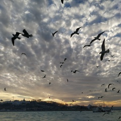 Арина Хоконова, Нальчик