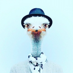 Ерназар Сауых, 10.10