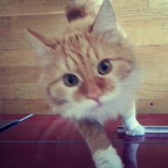 Андрей Ершов